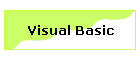 Visual Basic