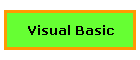 Visual Basic