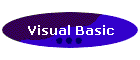 Visual Basic