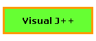 Visual J++