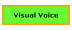 Visual Voice