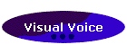 Visual Voice